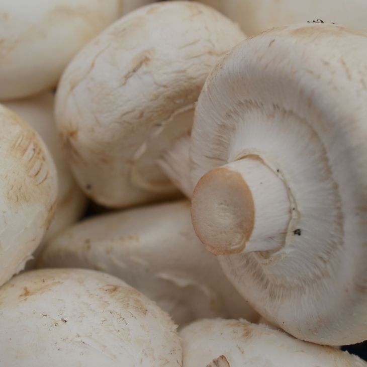 Champignons