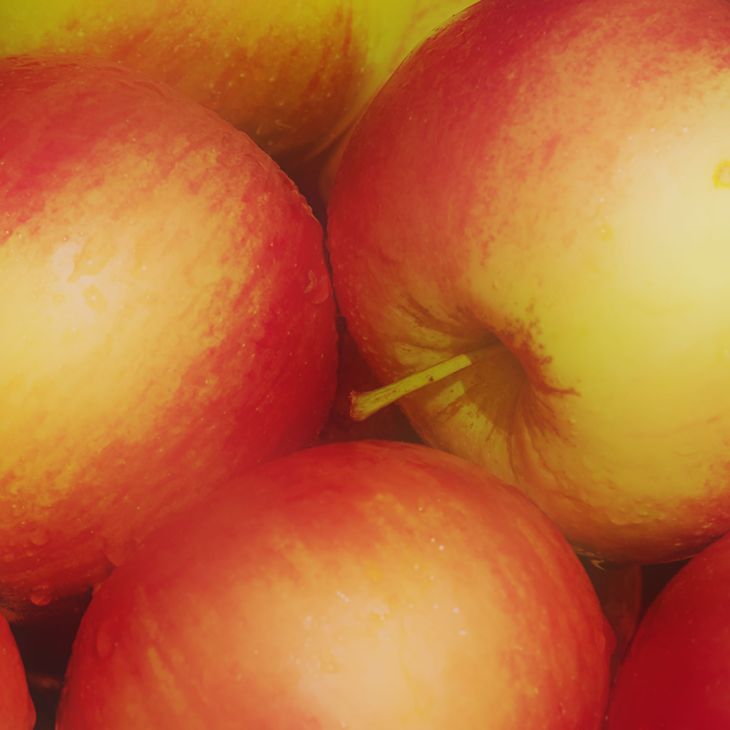 &Auml;pfel.Cox-Orange