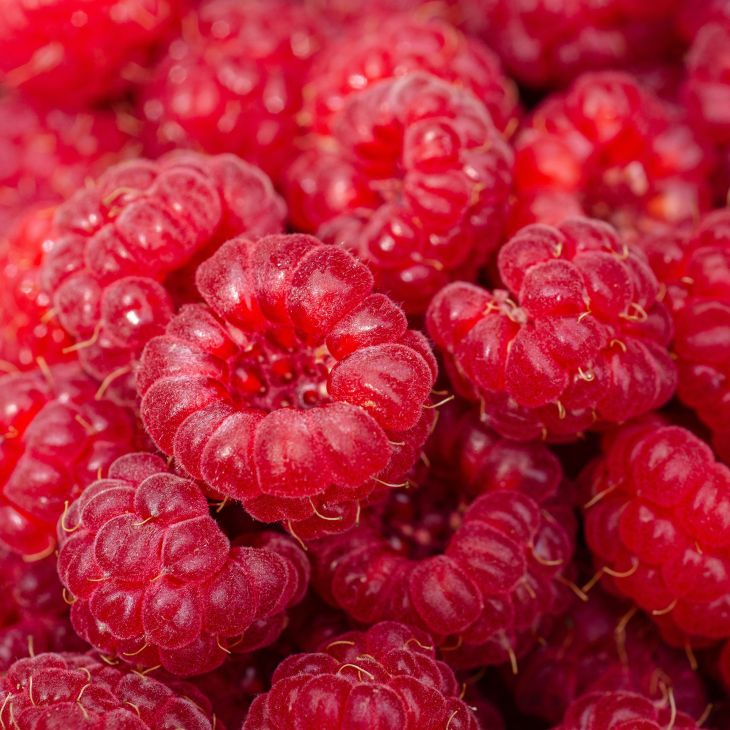 Himbeeren