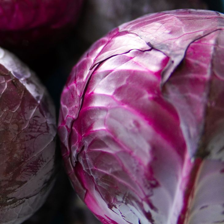 Rotkohl